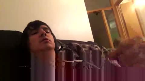 Zack online show from January 8, 2025, 8:27 am