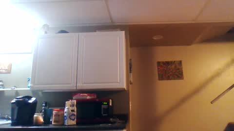 BONER DONOR online show from January 10, 2025, 11:33 am