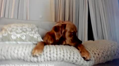 Lily online show from February 21, 2025, 12:27 am