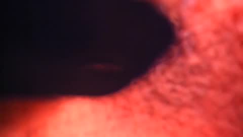 XALLYSONX online show from February 12, 2025, 2:21 pm