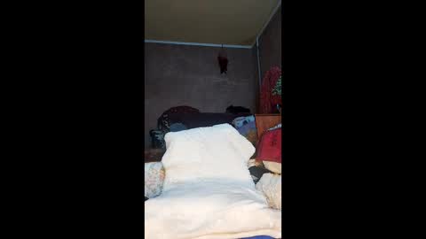 Xelenaxcbbs online show from April 26, 2026, 11:46 pm