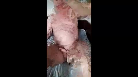 Slava online show from March 29, 2026, 11:49 pm