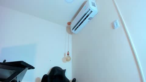 Snapshot of xgenesis_miller_ chatting on January 21, 2025, 11:55 pm Genesis online show from January 21, 2025, 11:55 pm