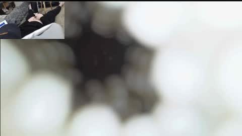 Snapshot of xoxowtf chatting on January 11, 2026, 6:57 pm xoxowtf online show from January 11, 2026, 6:57 pm