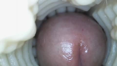 Snapshot of xoxowtf chatting on March 15, 2026, 5:41 pm xoxowtf online show from March 15, 2026, 5:41 pm