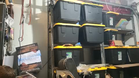 Xploringus online show from October 1, 2025, 9:15 am