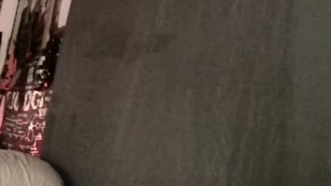 Snapshot of xxwhitefoxx chatting on March 11, 2025, 8:41 am David Fox online show from March 11, 2025, 8:41 am