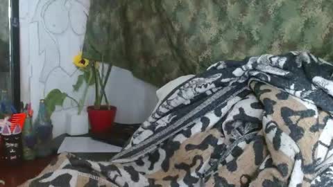   LILI  online show from January 4, 2025, 12:05 am