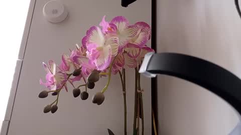 See you on October  going to miss you guys incredibly. Subscribe to my  Onlyfans  Channel to follow the news online show from March 12, 2025, 10:59 am