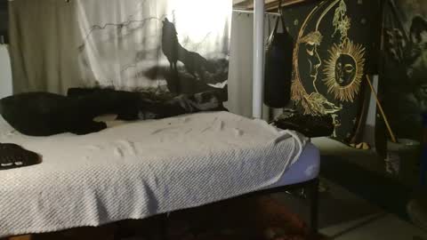 Snapshot of xxxjrstrokesxxx chatting on September 20, 2025, 6:20 pm xxxjrstrokesxxx online show from September 20, 2025, 6:20 pm