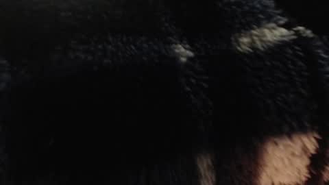 xxxking89 online show from December 14, 2024, 5:36 pm