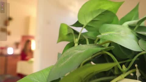 Snapshot of xxxoka chatting on March 6, 2025, 2:08 pm Xxxoka online show from March 6, 2025, 2:08 pm