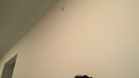 Dick  Ass online show from February 15, 2025, 6:55 pm