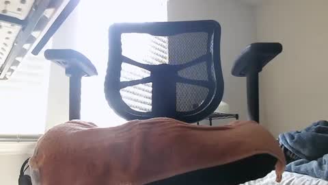 yahbuddy online show from October 3, 2025, 7:55 pm