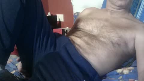 Snapshot of yahe2010 chatting on December 21, 2024, 4:36 pm grillino online show from December 21, 2024, 4:36 pm