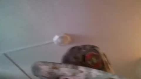 yahushuaha online show from September 9, 2025, 7:13 pm