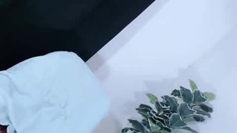 yams_kitty69 online show from November 20, 2025, 8:08 pm