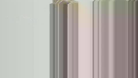 yangolox3 online show from September 13, 2025, 2:11 am