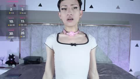 YANG online show from June 8, 2026, 12:16 pm