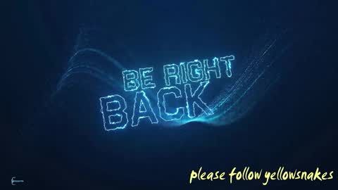 .     y e l l o w s n a k e s       . online show from October 10, 2025, 7:18 am