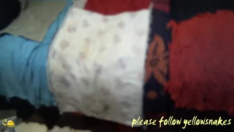 .     y e l l o w s n a k e s       . online show from November 7, 2025, 2:28 pm