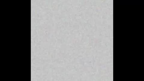 .     y e l l o w s n a k e s       . online show from November 21, 2025, 12:37 pm