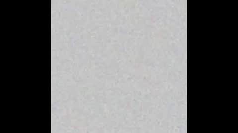 .     y e l l o w s n a k e s       . online show from November 24, 2025, 10:26 am