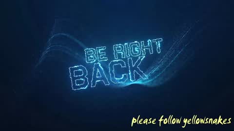 .     y e l l o w s n a k e s       . online show from November 24, 2025, 10:42 pm