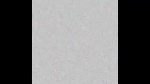 .     y e l l o w s n a k e s       . online show from December 4, 2025, 4:05 pm