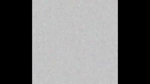 .     y e l l o w s n a k e s       . online show from January 17, 2026, 11:41 pm