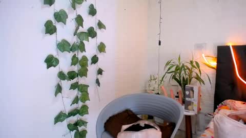 Snapshot of yemfairymcry chatting on May 28, 2026, 4:59 pm YEM online show from May 28, 2026, 4:59 pm