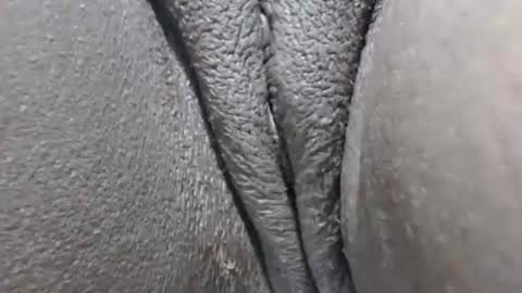 yirily online show from March 21, 2026, 5:34 am