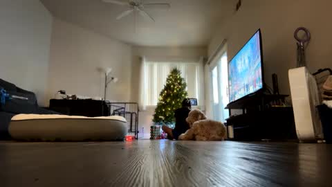 Snapshot of ynaong chatting on December 18, 2024, 11:40 pm Palmela Handerson online show from December 18, 2024, 11:40 pm