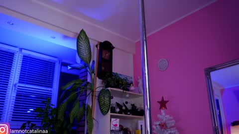 Snapshot of yourbabypearl chatting on January 7, 2025, 5:09 pm YourBabyPearl online show from January 7, 2025, 5:09 pm