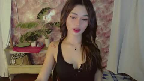 Sunshine online show from May 27, 2026, 10:56 am
