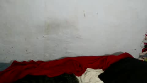 yummytittsxx online show from March 2, 2026, 3:09 am