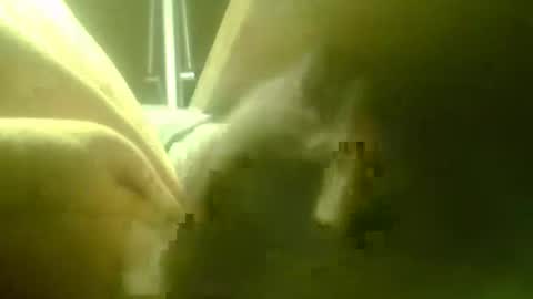 zaboski4 online show from March 18, 2026, 7:44 am