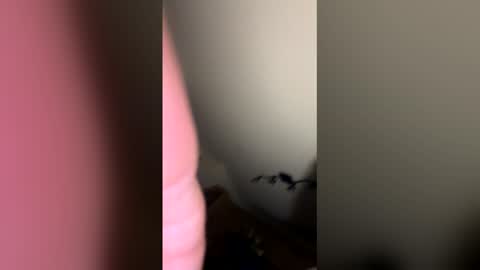 zachmurphbigboy online show from March 1, 2026, 3:41 am