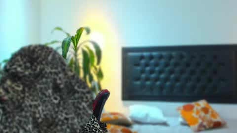 Snapshot of zachpri20 chatting on September 24, 2025, 9:23 am zachpri20 online show from September 24, 2025, 9:23 am