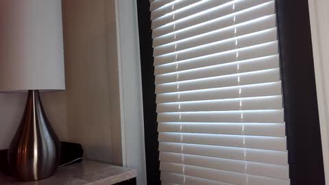 Snapshot of zamoraedii1994 chatting on January 2, 2025, 4:46 pm Edii online show from January 2, 2025, 4:46 pm