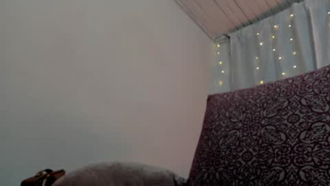 Zara . online show from January 24, 2025, 11:59 am