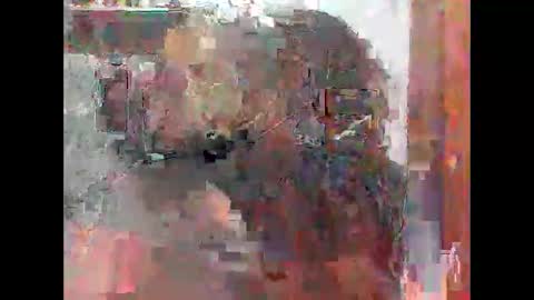 Zatth online show from February 14, 2026, 7:49 am