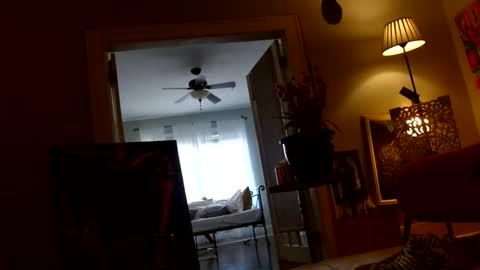 Snapshot of zedlav4 chatting on November 28, 2025, 9:50 pm zedlav4 online show from November 28, 2025, 9:50 pm