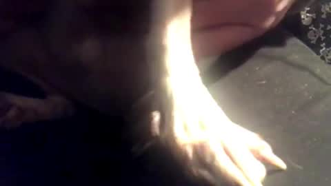 Snapshot of zeroandhero chatting on March 7, 2025, 8:13 am zero online show from March 7, 2025, 8:13 am