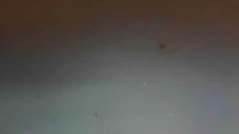 zervale online show from August 8, 2026, 10:12 pm