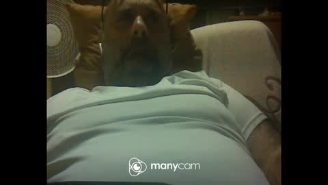 zeusdioss online show from July 8, 2026, 12:48 am