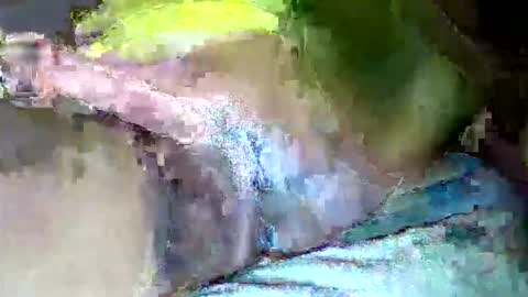 zimzim_ online show from October 31, 2025, 11:06 pm