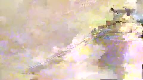 zippy001 online show from December 7, 2024, 11:29 am