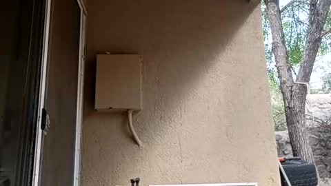 zoeoved92 online show from October 8, 2025, 4:37 pm