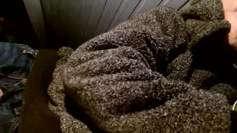 zolexthomas online show from February 1, 2025, 7:55 pm